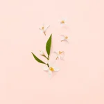 Gucci Bloom Eau De Parfum 50ml - Image 5