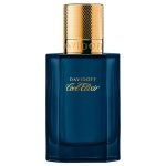 Davidoff Cool Elixir Parfum Intense 100ml