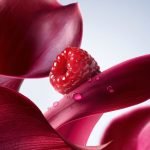 Lancome La Vie Est Belle Elixir Eau De Parfum Mist 100ml - Image 4
